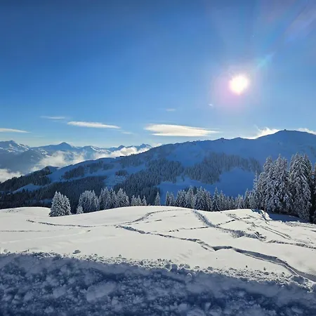 By Franz - Alpine In Kirchberg Aparthotel